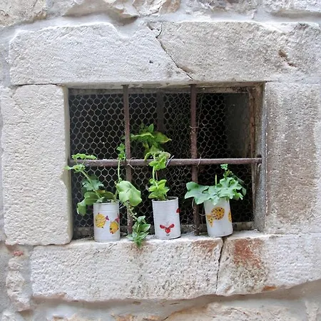 Rooms & Studio Stipcic Guest house 3*